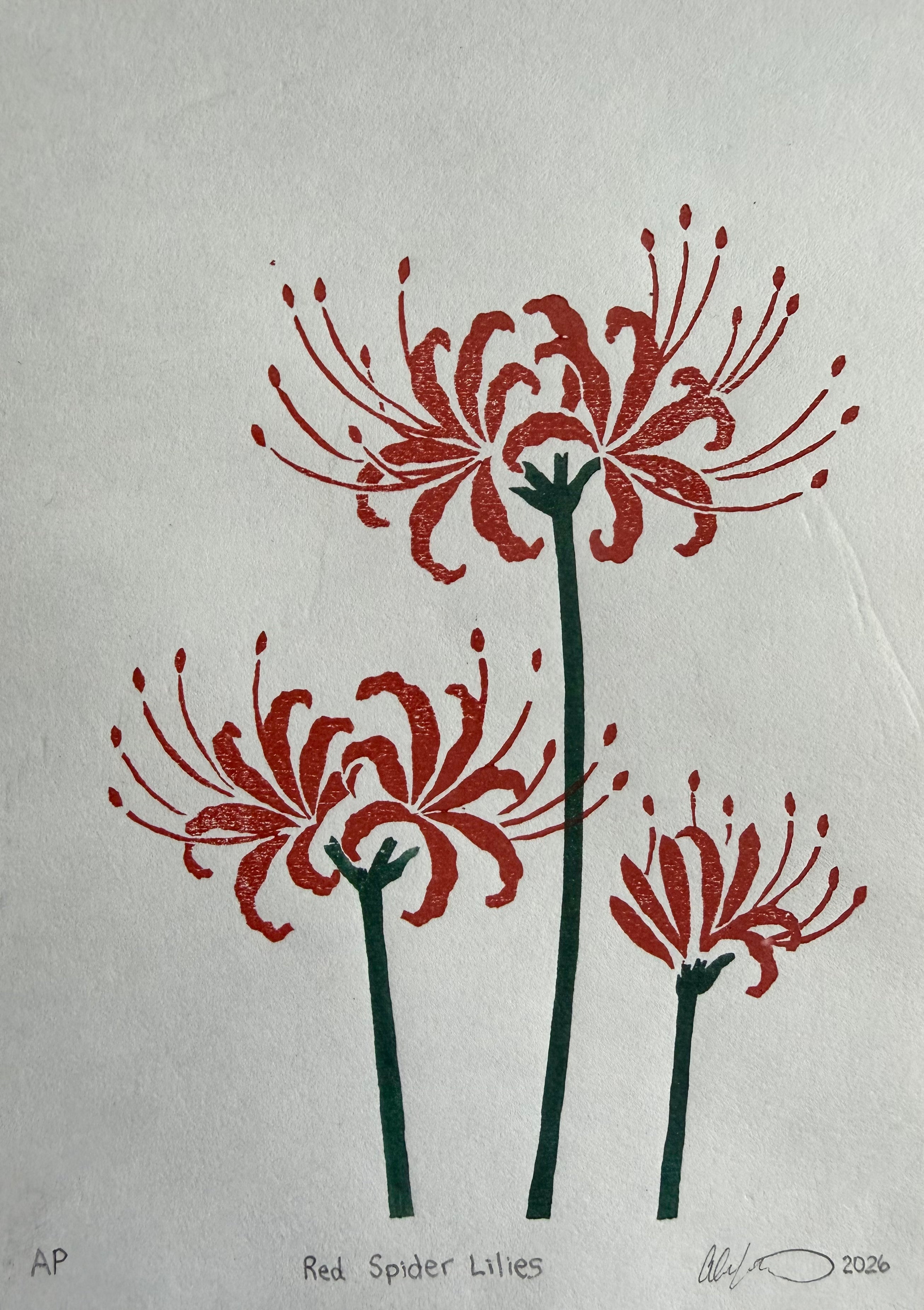 Red Spider Lilies