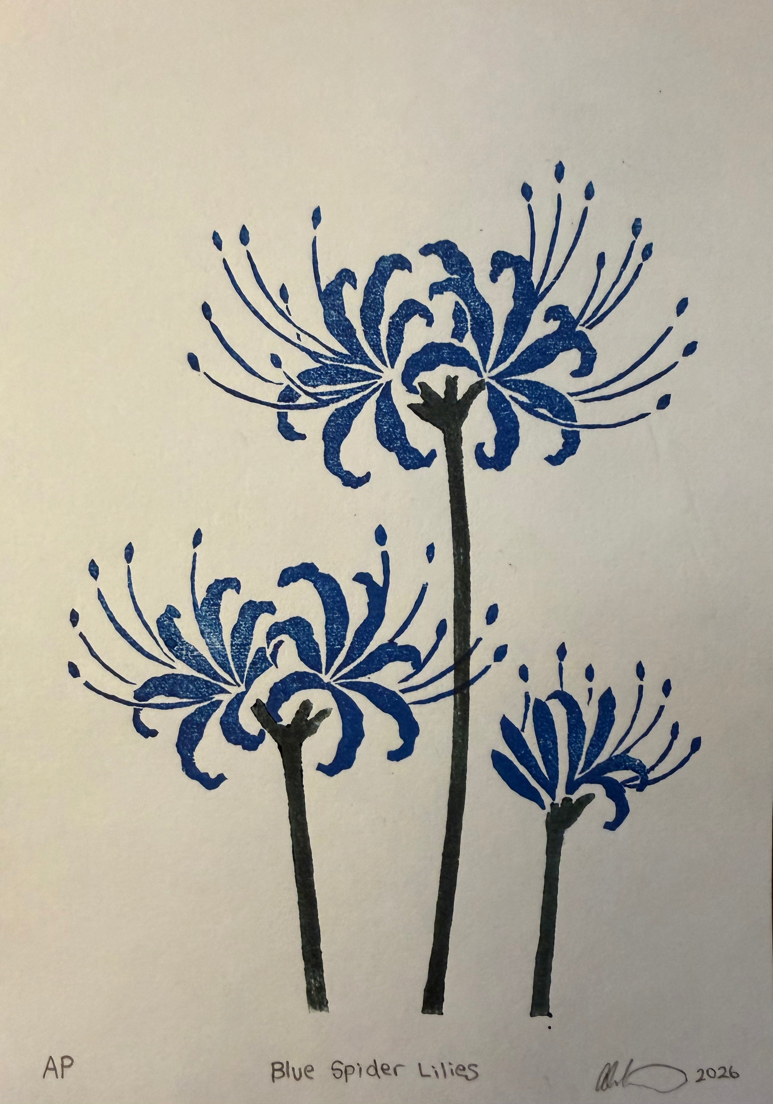 Blue Spider Lilies